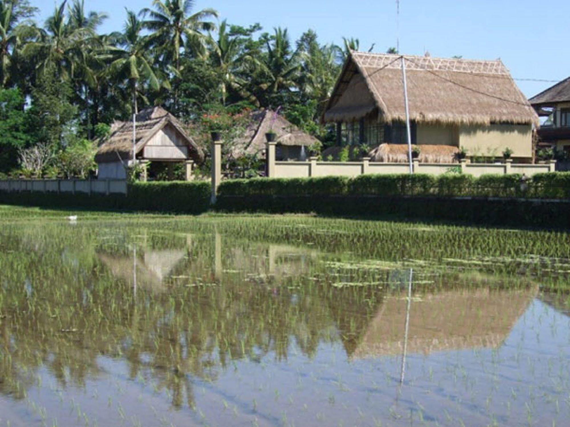 Puri Darma Agung Villa Ubud  Bagian luar foto