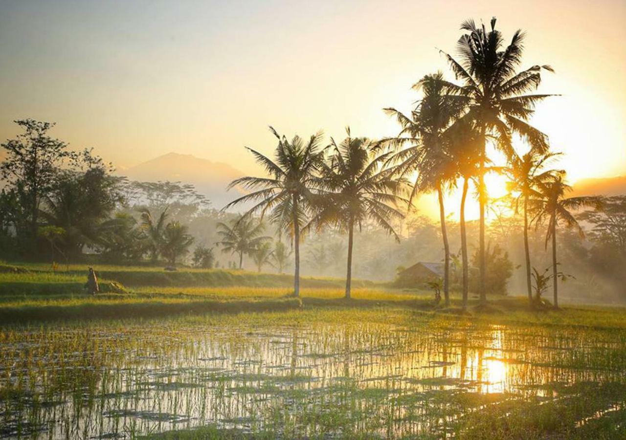 Puri Darma Agung Villa Ubud  Bagian luar foto